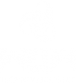 logo-white 1